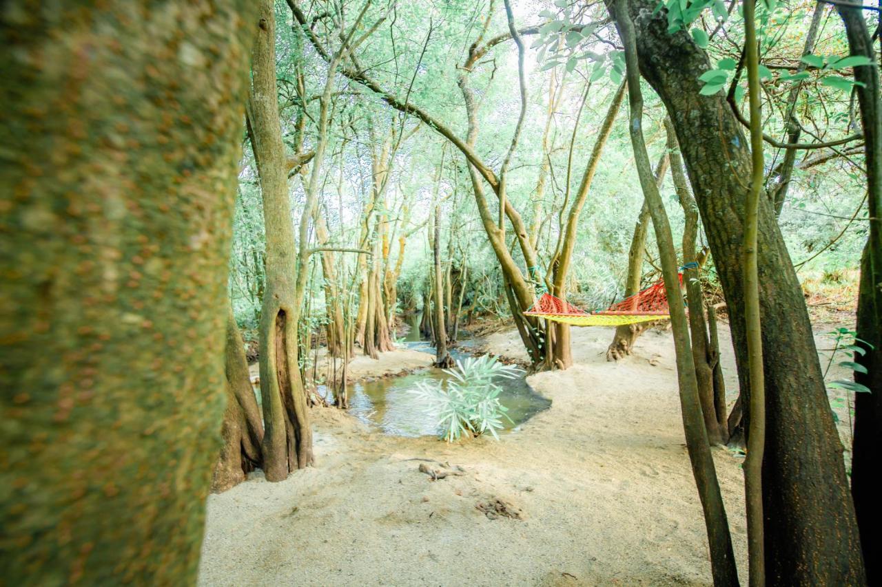Kayjay Wild Wilpattu Hotel Kültér fotó